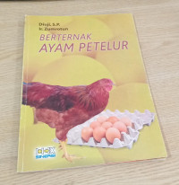 Image of berternak ayam petelur