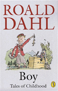 Image of boy tales of childhood