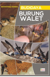 Image of Budidaya burung walet