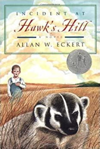 Image of Incident at Hawk's Hill