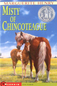 Image of Misty of Chincoteague