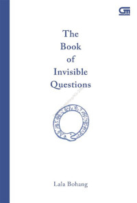 Image of the book of invisble questions