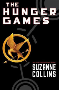 Image of the hunger games :
catching fire