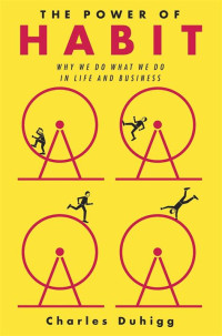 Image of the power of habit