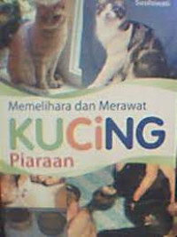 Image of memelihara dan merawat kucing piaraan